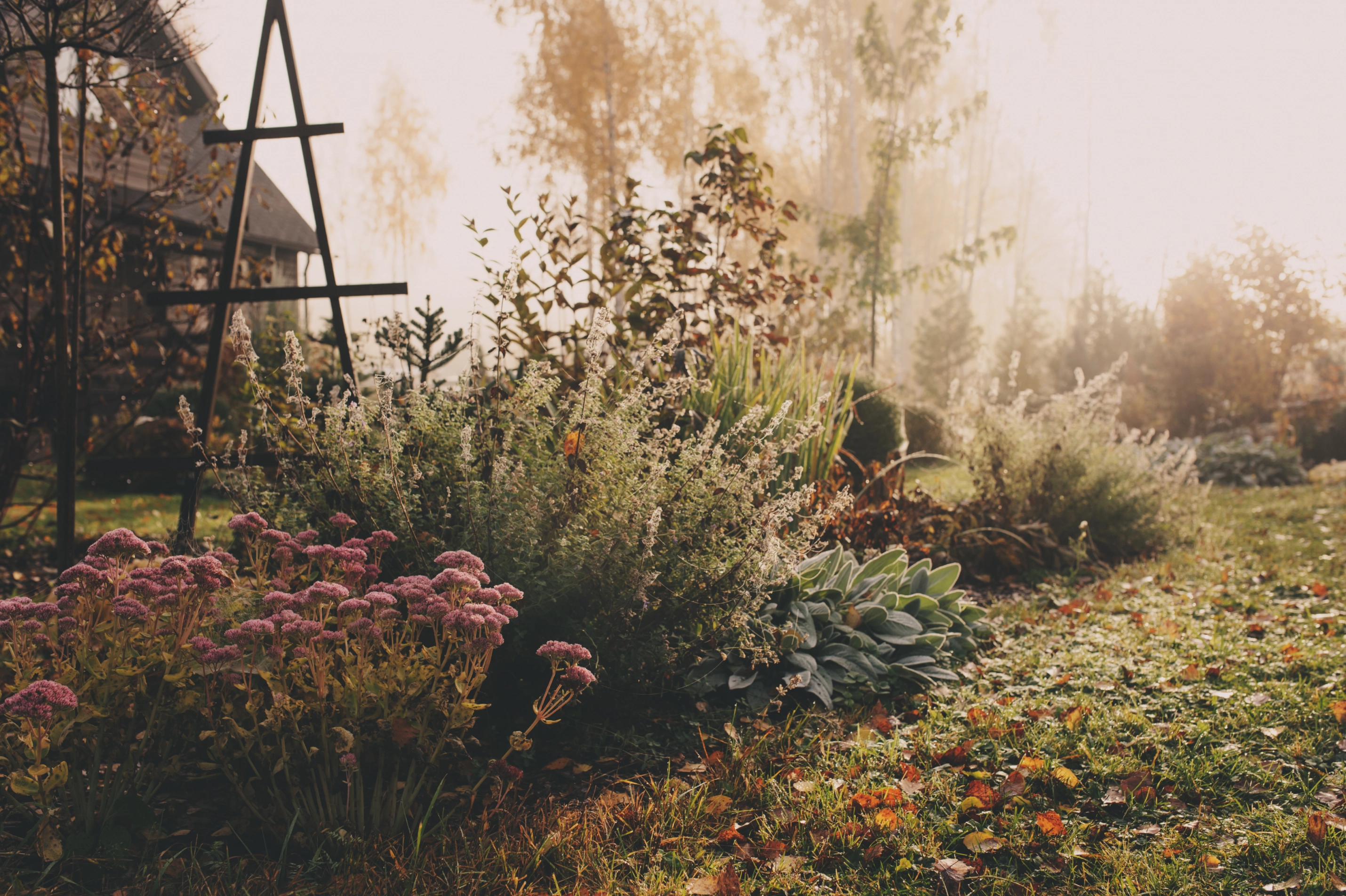 4-231210-foto-original-istock