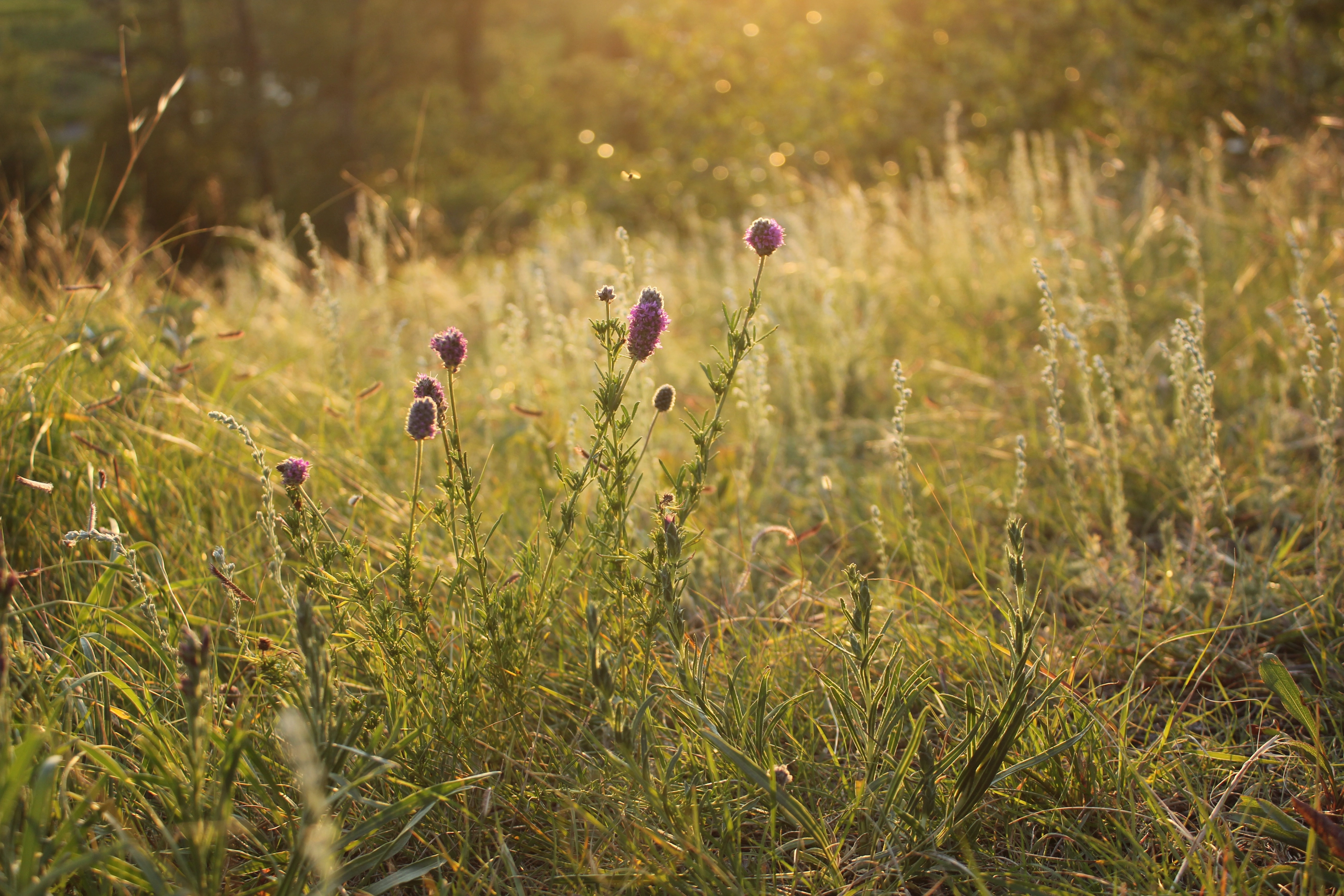 8-oxana-lyashenko-unsplash